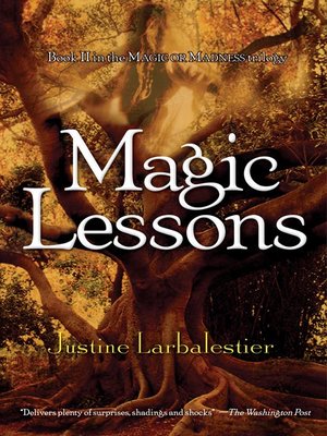cover image of Magic Lessons